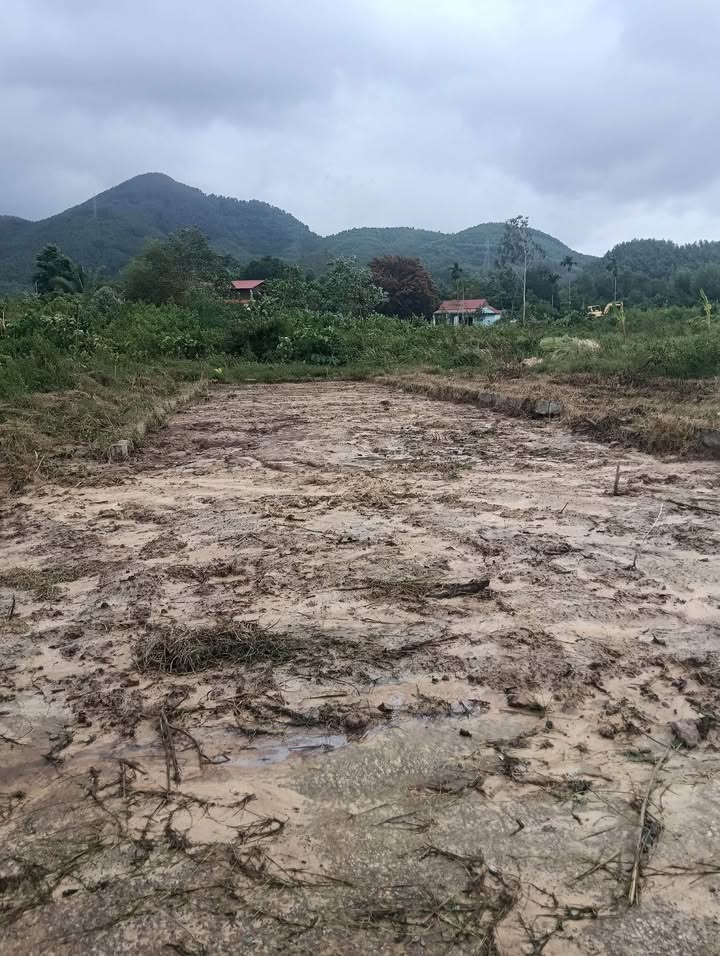 Đất nền Hòa Khánh, Liên Chiểu 126m² giá chỉ 1.1 tỷ - Sổ hồng chính chủ!