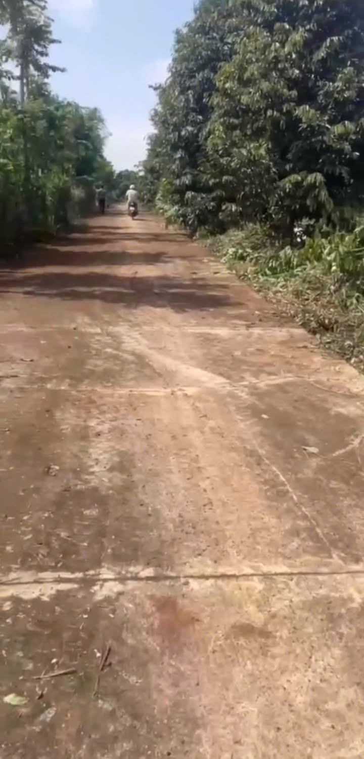 Đất thổ cư Cư Suê 135m² giá chỉ 444 triệu - Đầu tư sinh lời ngay!