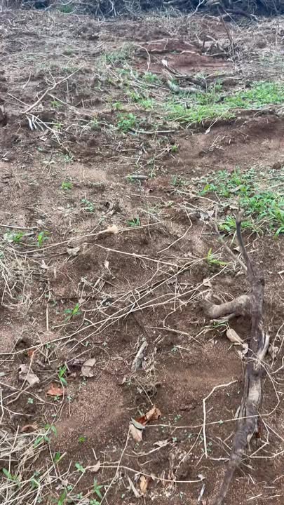 Đất nền thổ cư xã Ea Nam 8000m² giá 550 triệu - Cơ hội đầu tư tuyệt vời!