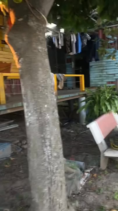 Nhà vườn nghỉ dưỡng Đồ Sơn Hải Phòng 3500m² - Cơ hội đầu tư hấp dẫn!