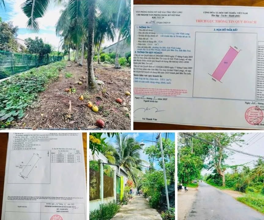 Đất nền biệt thự phường An Hội, Vĩnh Long 319,9m² giá 749 triệu - Cơ hội đầu tư hấp dẫn!