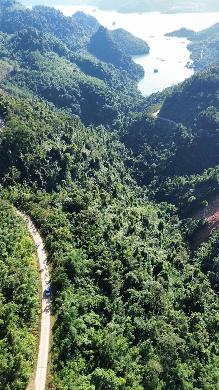 Đất nông nghiệp Đà Bắc 25.000m² giá 1.125 tỷ - Sổ đỏ chính chủ!