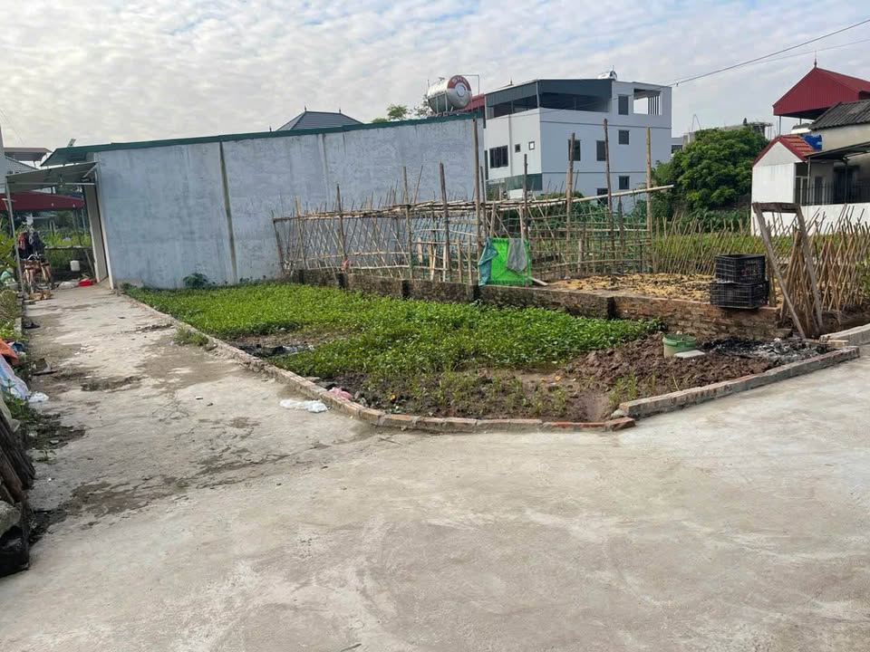 Đất nền Vân Tảo 75m² giá 4 tỷ - Lô góc ấn tượng, đầu tư sinh lời!