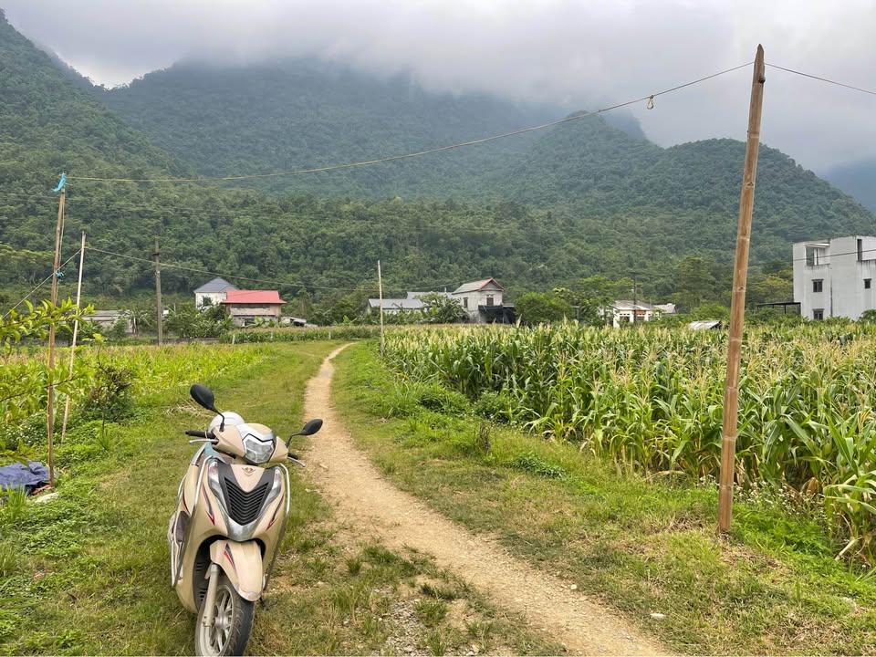 Đất nghỉ dưỡng xóm Khởi, Tân Lạc, Hòa Bình 1527m² giá 700 triệu - View núi tuyệt đẹp!