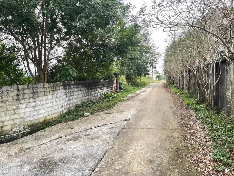 Đất Nền Nhuận Trạch 1300m² giá chỉ 4.6 triệu/m² - Cơ hội đầu tư hiếm có!