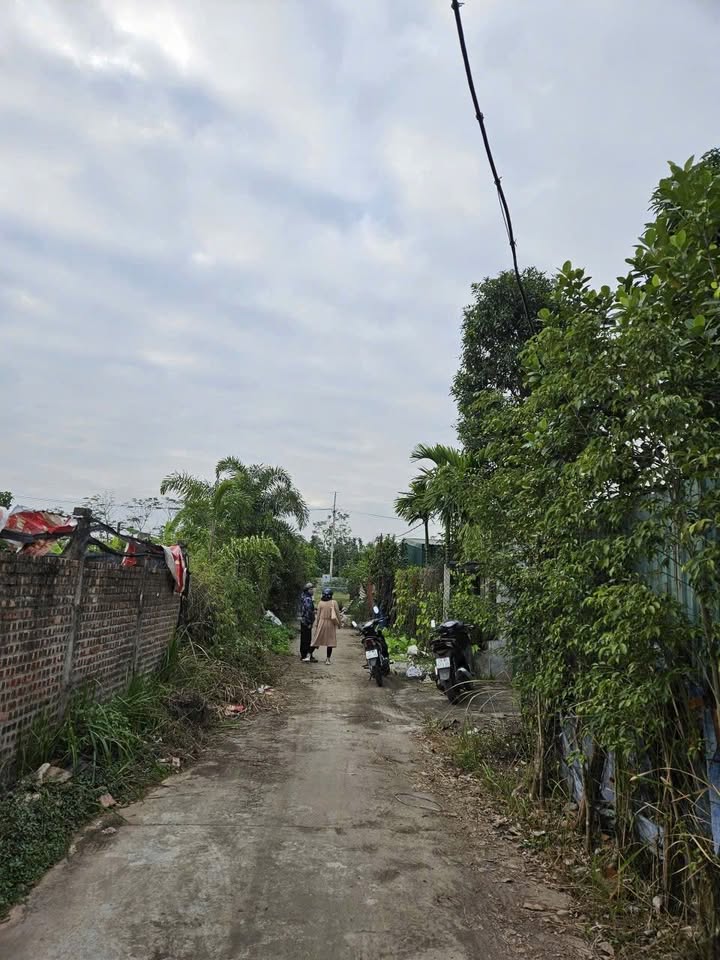 Đất nền chính chủ 283m² Làng Yên Mỹ, Thanh Trì - Giá chỉ 707.5 triệu!