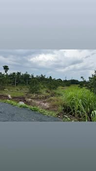 Đất vườn Phúc Đức Sài Sơn 372m² chỉ 1.1 tỷ - Cơ hội đầu tư tuyệt vời!