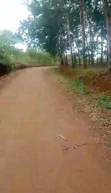 Đất nền Đắk Ơ, Bù Gia Mập 125m² giá 1.8 tỷ - Mặt tiền đường nhựa, cơ hội đầu tư sinh lời!