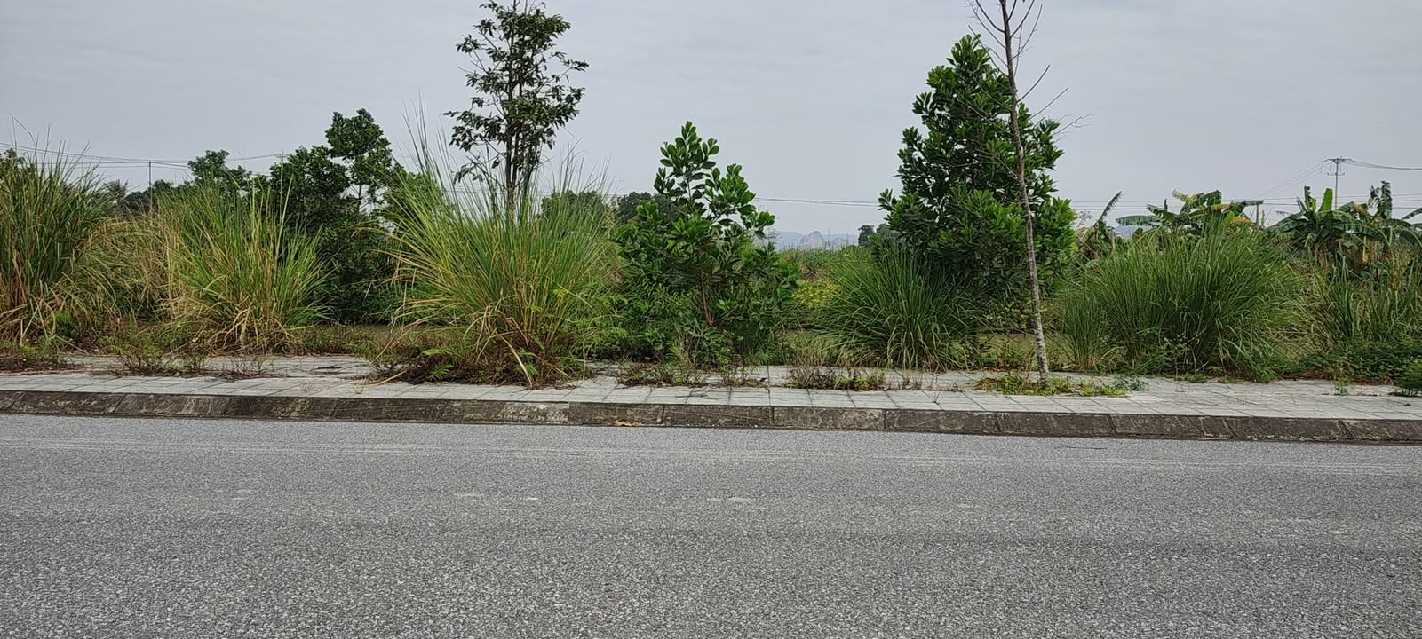 Lô đất Đông Quang Thanh Hóa 132m² giá 1.45 tỷ - Cơ hội đầu tư không thể bỏ lỡ!