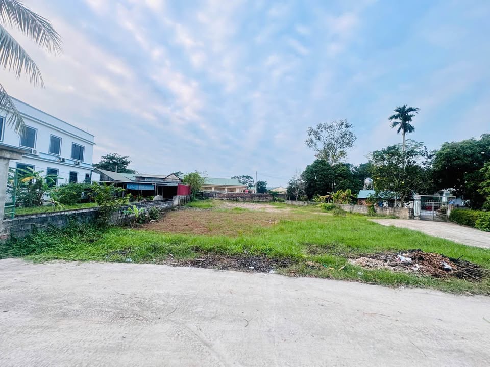 Đất nền dự án tại Phố Bà Triệu, Triệu Sơn, Thanh Hóa - Diện tích từ 115m², giá chỉ từ 8xx triệu!