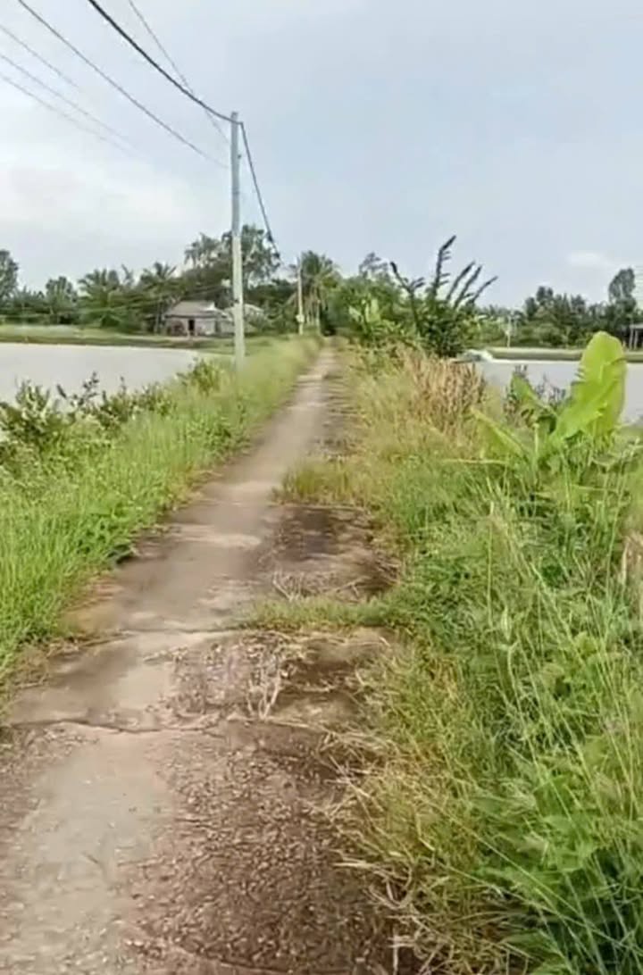 Đất nền 6600m² mặt tiền đường lộ DAL 3m - Cơ hội đầu tư tuyệt vời tại Ngọc Tố!