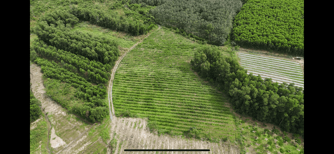 Đất CLN 8000m² tại Xuân Tâm, Đồng Nai - Giá 2.5 tỷ, thương lượng