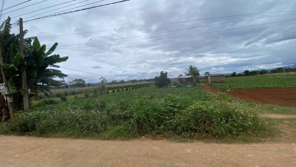 Đất mặt tiền Lê Cồng Thôn, Đức Trọng, Lâm Đồng 1000m² chỉ 3,9 tỷ - Cơ hội đầu tư tuyệt vời!