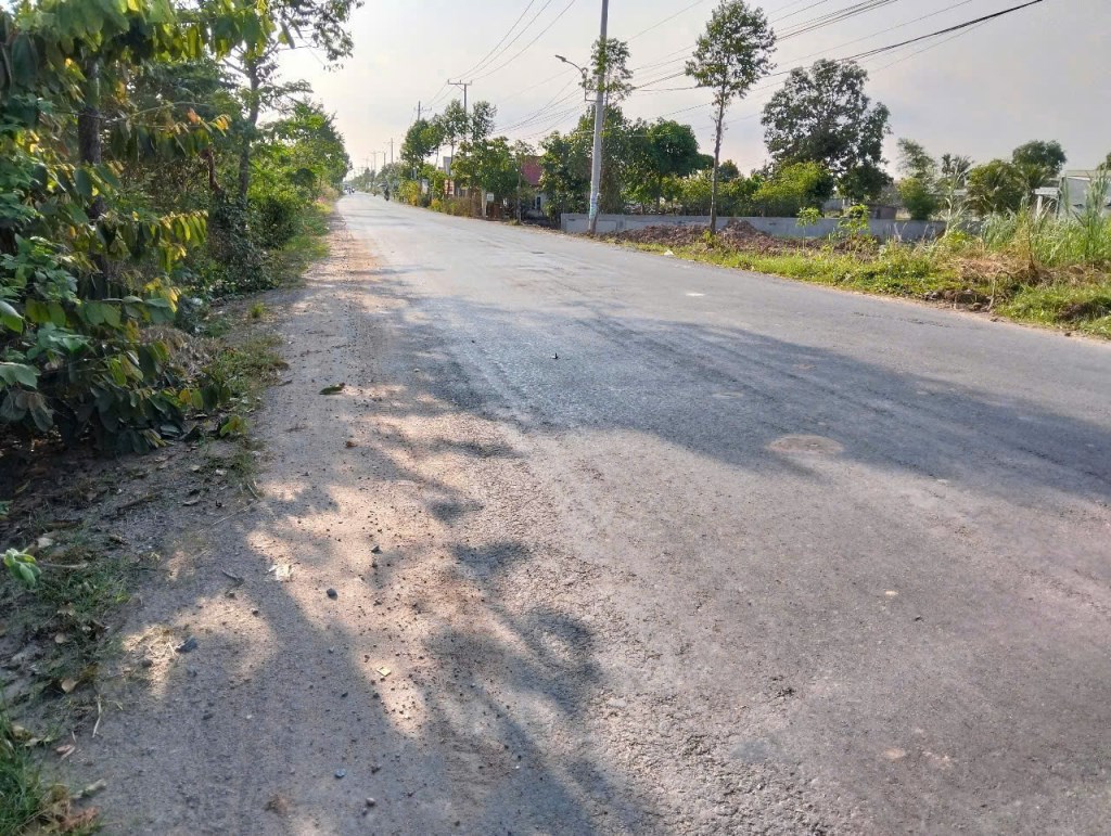 Đất vườn mặt tiền Ba Sa Gò Mối, Đức Lập Hạ 750m² giá 4.4 tỷ - Tiềm năng kinh doanh lớn!