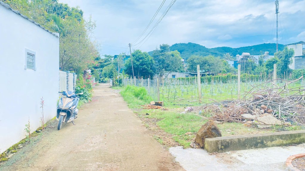 Đất nền đẹp 1175m² tại Đức Trọng, Lâm Đồng - Giá chỉ 6 tỷ thương lượng!