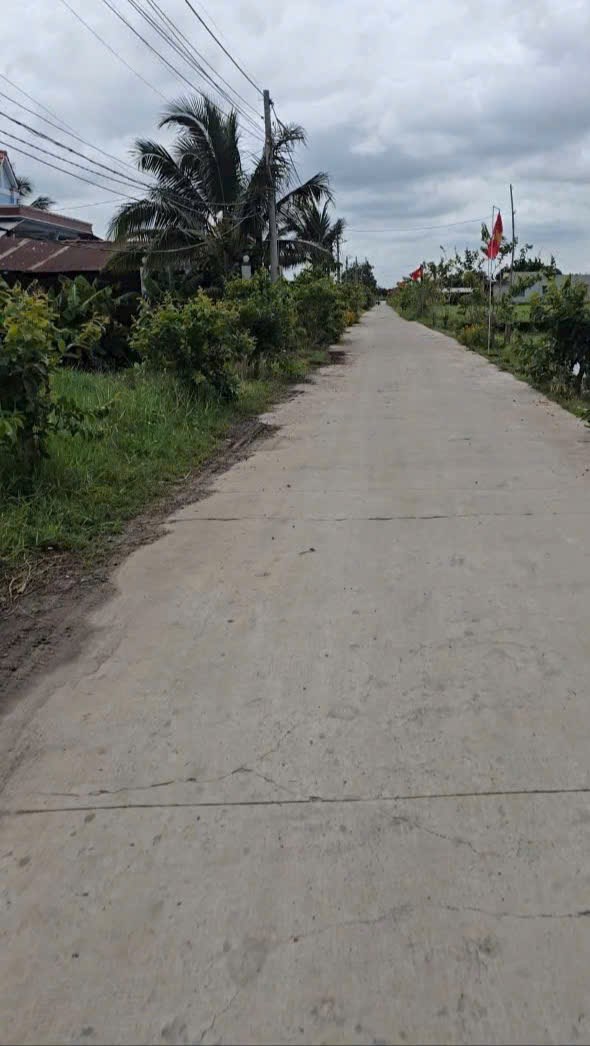 Bán lô đất thổ cư 295m² mặt tiền đường 1/ Láng Cẩm - Giá chỉ 3 tỷ!