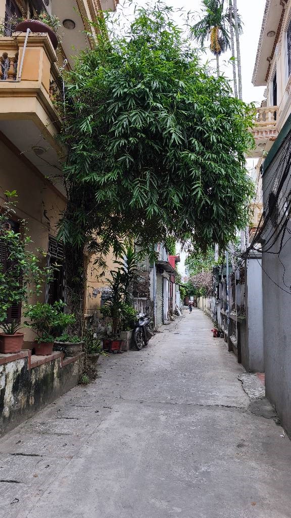 Nhà riêng Dương Nội, Hà Đông 95m² giá 17.4 tỷ - Dòng tiền 1 tỷ/năm!