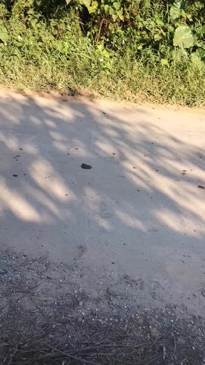 Đất nền Sông Cầu Đồng Hỷ 7000m² giá 2.7 tỷ - Đầu tư sinh lời ngay!