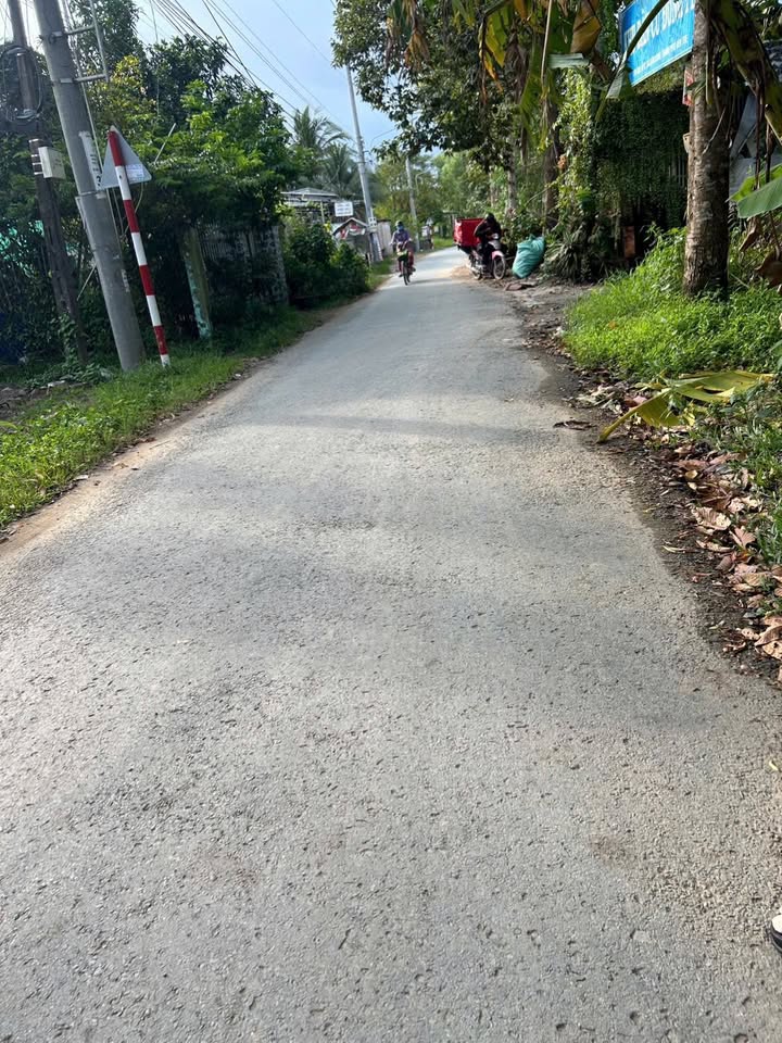 Đất farm Bến Tre 3000m² giá 4.5 tỷ - Gần 3 công vườn dừa hấp dẫn!