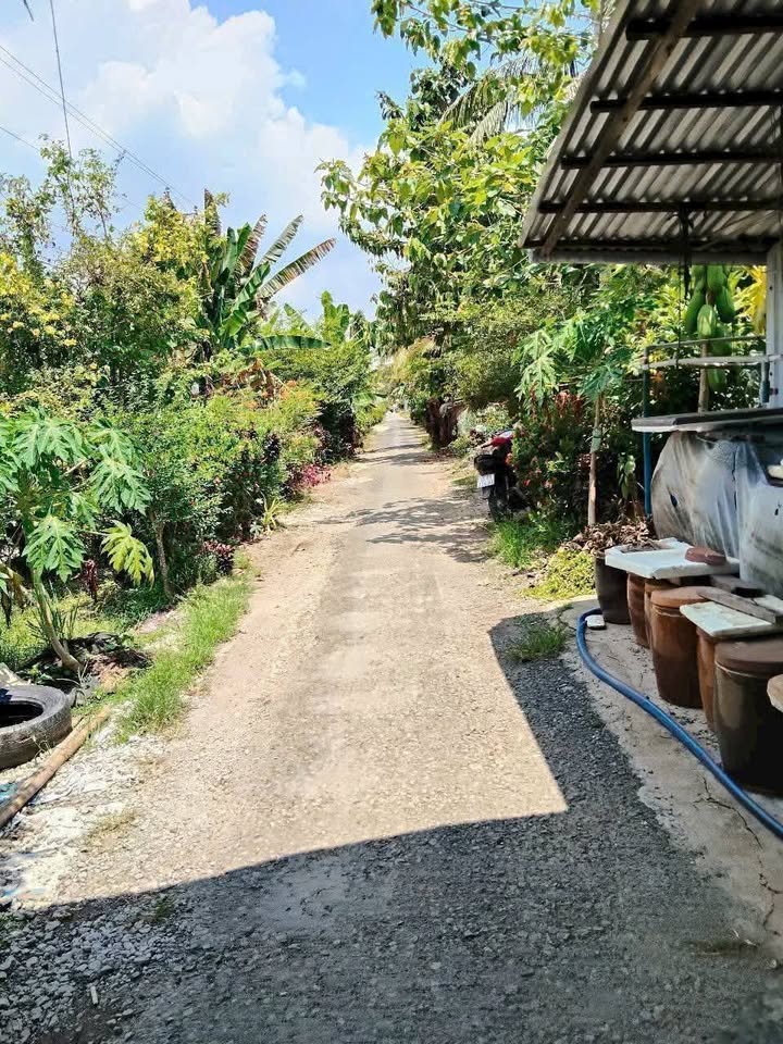 Đất nền Phương Phú, Phụng Hiệp 210m² giá 350 triệu - Sổ hồng chính chủ, công chứng liền!