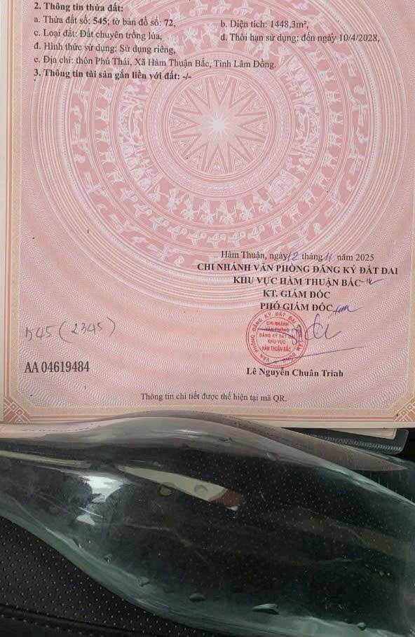 Đất nền Hàm Trí 1400m² giá chỉ 200 triệu - Đầu tư sinh lời ngay!