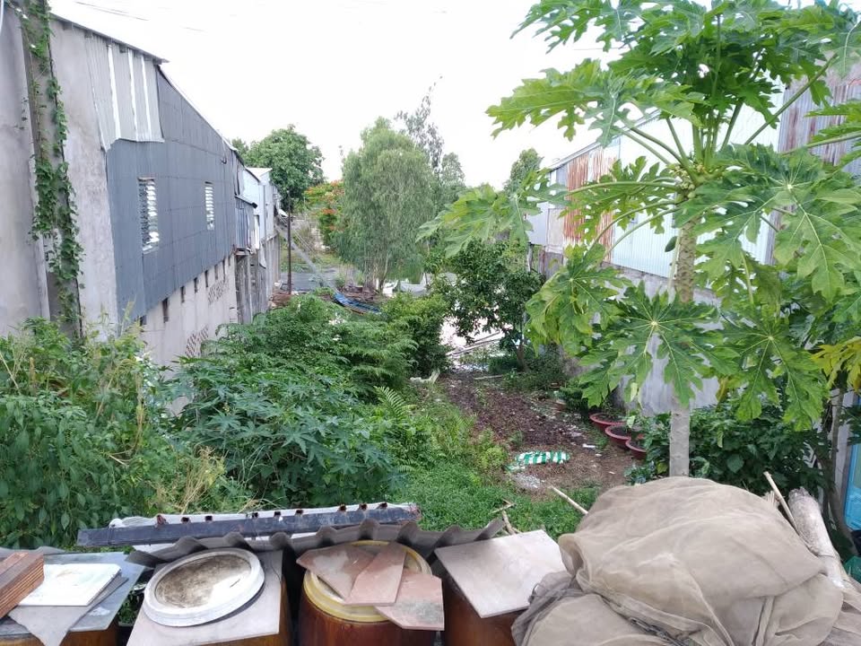 Đất nền 75m² đường Tỉnh lộ 955A, phường Núi Sam - Giá 700 triệu, vị trí đẹp!