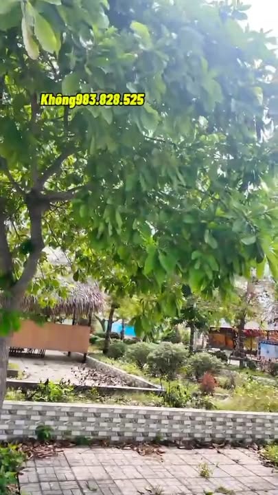 Đất nền Núi Sập Thoại Sơn 100m² giá vài trăm triệu - Sổ hồng lâu dài!