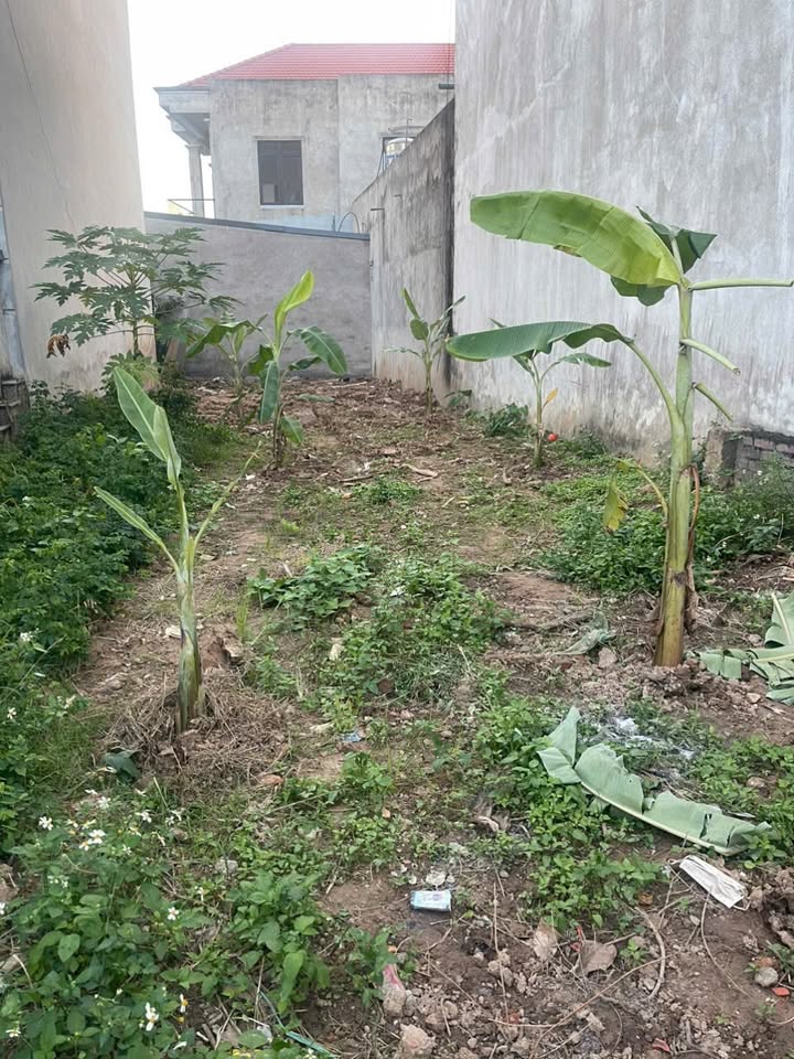 Lô đất thổ cư 114.5m² tại thôn Mỹ Lộc, xã Thanh Lâm - Sổ đỏ chính chủ, giá thỏa thuận!