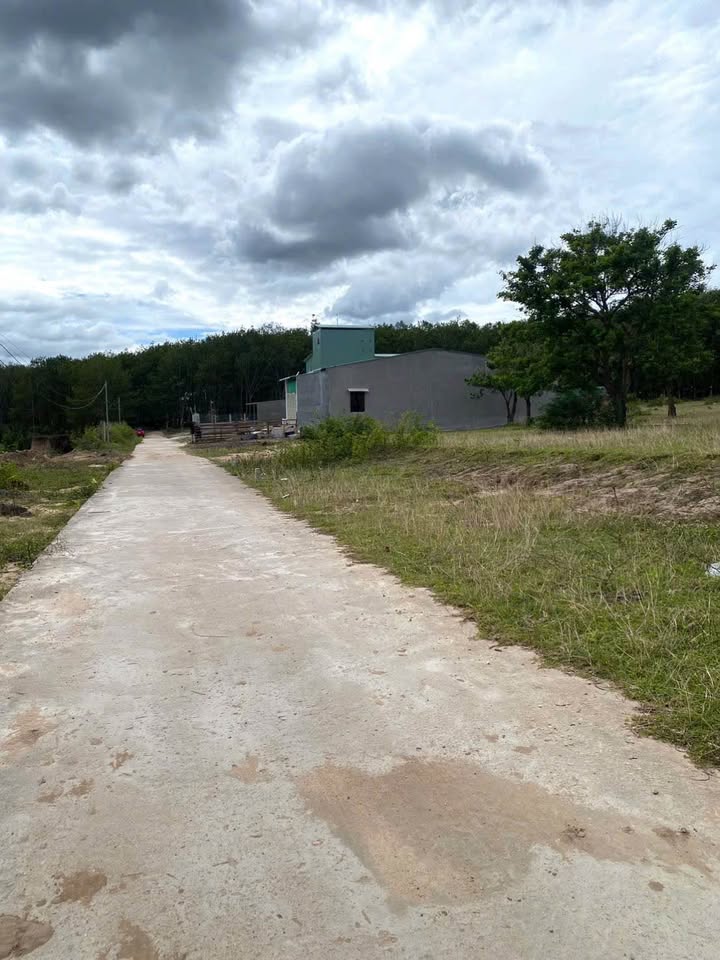 Đất thổ cư Đăk Bla, Kon Tum 175m² giá 200 triệu - View suối thoáng mát!