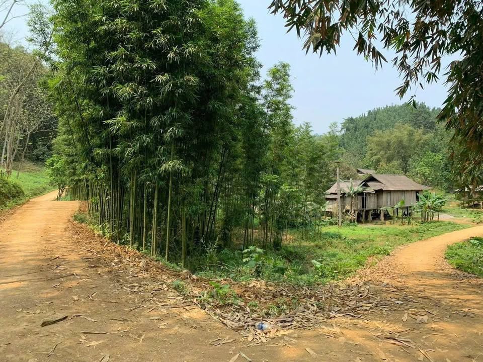 Đất nền 1200m² xã Sơn Thủy, Hòa Bình - Lô góc 2 mặt tiền, giá chỉ 1.x tỷ!