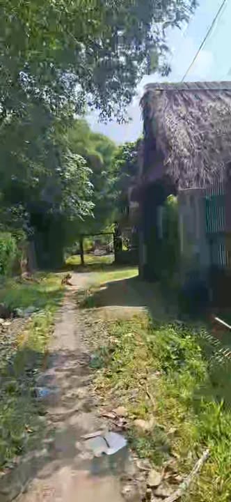 Đất nền An Tịnh Trảng Bàng 150m² giá 560 triệu - Full thổ cư, tiện ích đầy đủ!