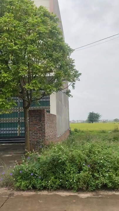 Đất giãn dân Quỳnh Sơn Yên Dũng 100m² - Cơ hội đầu tư tuyệt vời!