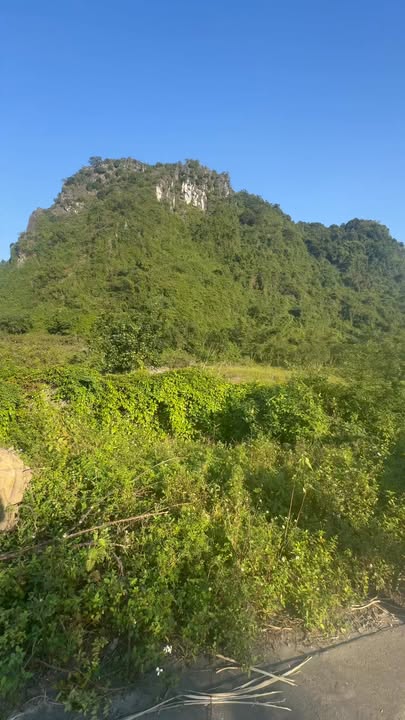 Đất farm Ba Sao - Kim Bảng 2000m² giá thỏa thuận - Dáng đất lưng tựa núi lý tưởng!