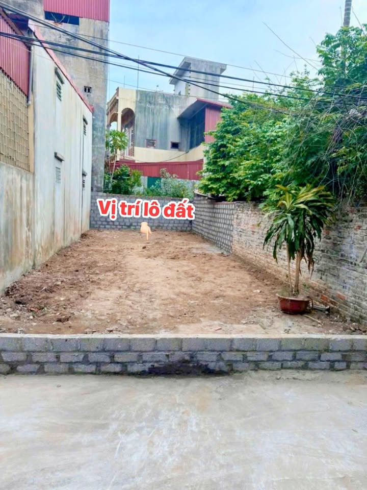 Đất nền An Vũ, Hiến Nam, Hưng Yên 68.5m² chỉ 3 tỷ - Đường ô tô đỗ cửa!