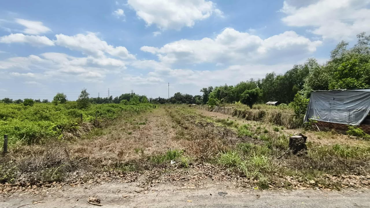 Đất vườn 2160m² tại Bình Chánh giá 6.48 tỷ - Cơ hội đầu tư hấp dẫn!