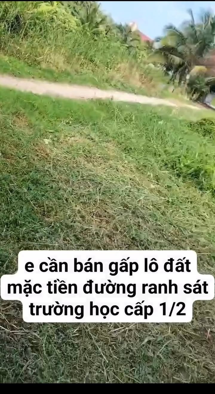 Đất mặt tiền đường Ranh, Khánh Hải, 750m² giá 800 triệu - Cơ hội đầu tư hấp dẫn!