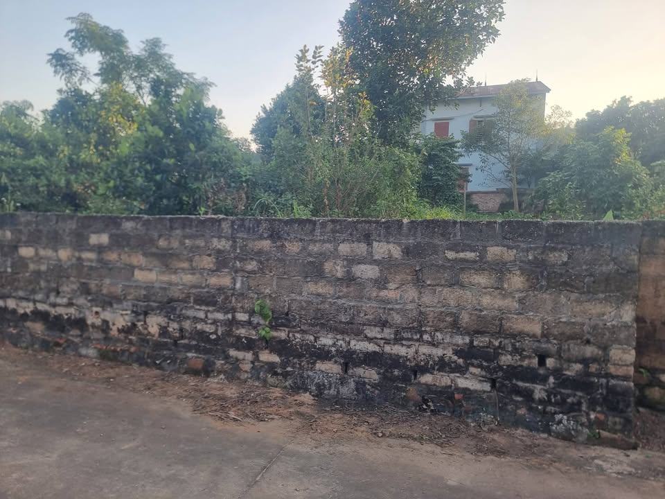 Đất lô góc Tôn Đức Thắng, Chu Văn An, 495m² giá 3.5 tỷ - Kinh doanh sầm uất!