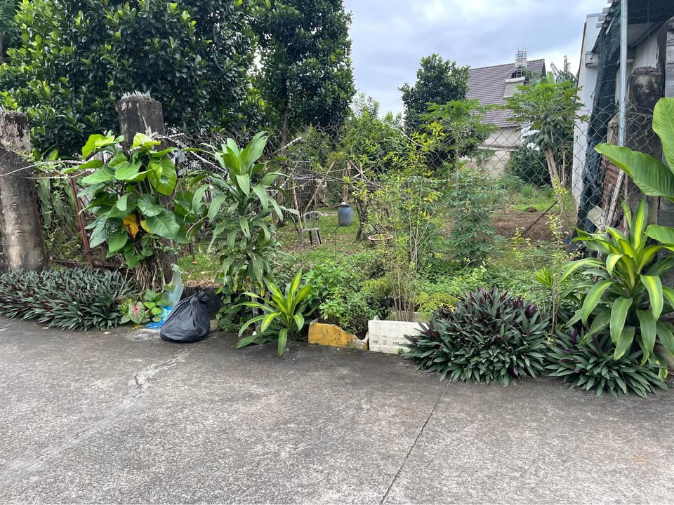 Đất thổ cư Trảng Bom 139.4m² giá 1.7 tỷ - Gần chợ và nhà thờ Lộc Hòa!