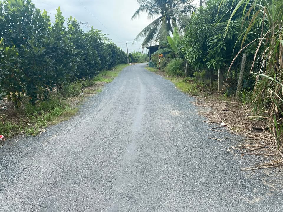 Đất nền 2000m² Xã Tân Quới, Vĩnh Long - Đầu tư sinh lời, giá chỉ 690 triệu!