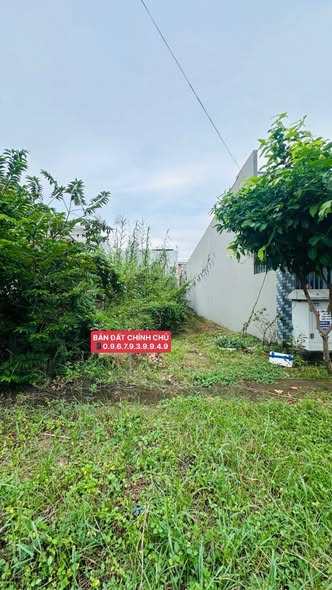 Đất nền mặt tiền đường Trần Nhật Duật, Đồng Tháp 230m² giá 3 tỷ - Cơ hội đầu tư hiếm có!