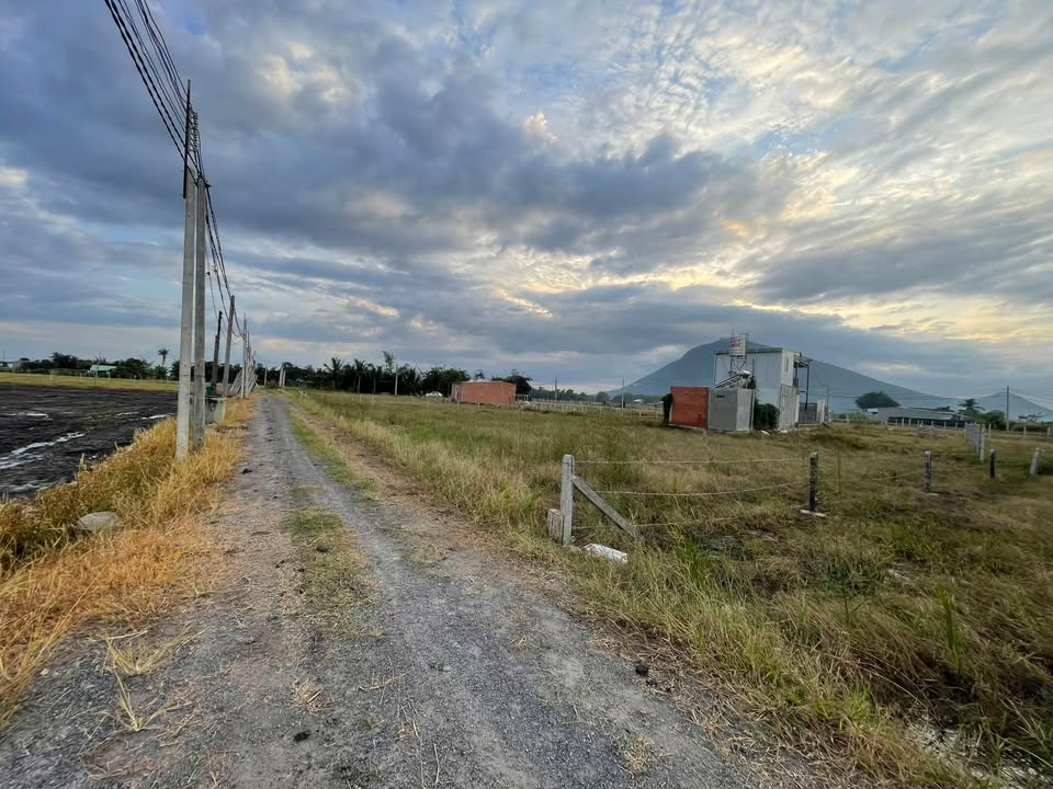 Đất thổ cư Suối Đá Dương Minh Châu 105m² giá 229 triệu - Cơ hội đầu tư tuyệt vời!