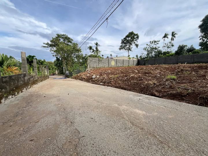 Đất thổ cư 125m² phường Tân Lập, Buôn Ma Thuột - Giá chỉ 990 triệu - Cơ hội đầu tư hấp dẫn!