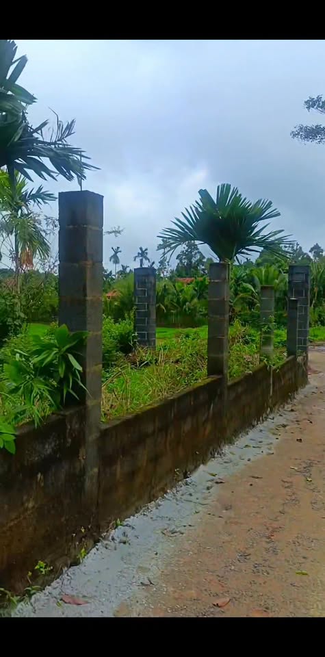 Đất thổ cư 125m² Phường Tân Lập, Buôn Ma Thuột chỉ 990 triệu - Đầu tư sinh lời hấp dẫn!