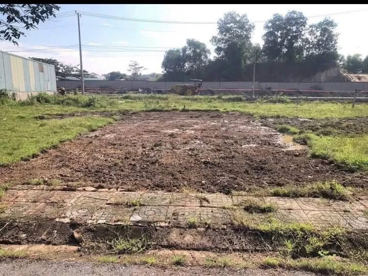 Đất nền Hòa Long Bà Rịa 100.77m² giá chỉ 170 triệu - Sổ đỏ chính chủ, bớt lộc!