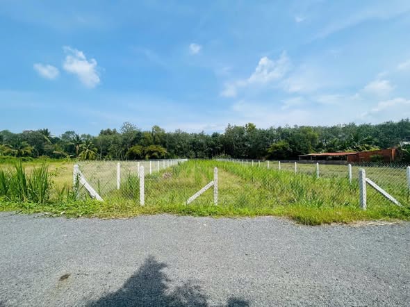 Đất thổ cư Hiệp Thạnh, Gò Dầu 539m² giá 1.2 tỷ - Mặt tiền đường nhựa 5m!