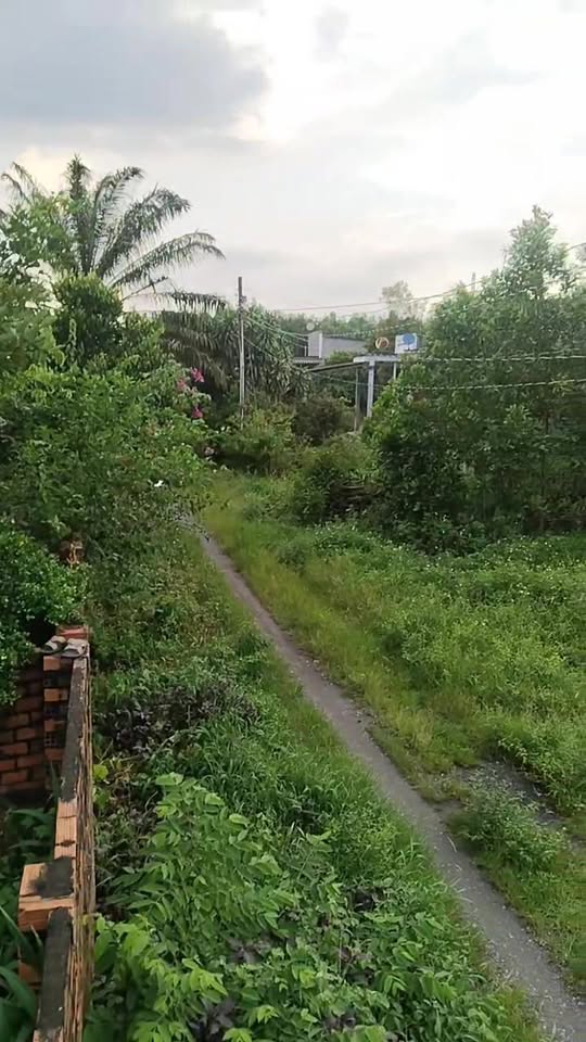 Đất vườn 1008m² xã Phước An, Nhơn Trạch giá 4.1 tỷ - Đường ô tô vào tận nơi!