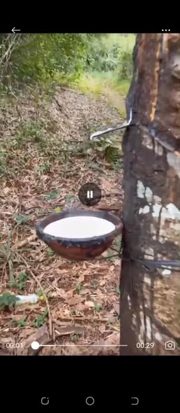 Đất nền Tân Lợi Hớn Quản 20.000m² giá 2.5 tỷ - Đầu tư sinh lời ngay!