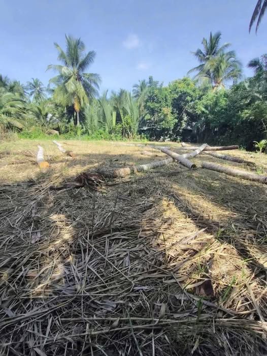 Đất nền Tân Thành Bình Mỏ Cày Bắc 611m² giá 360 triệu - Cơ hội vàng cho nhà đầu tư!