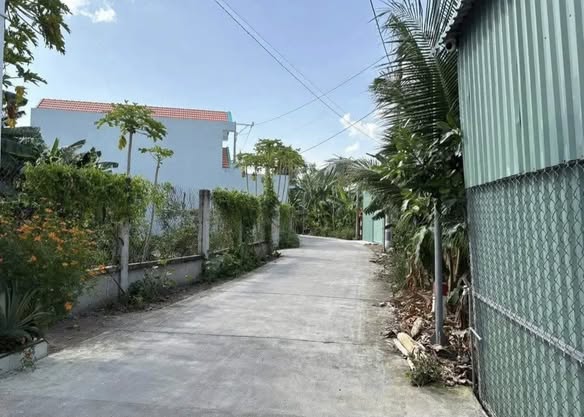 Đất thổ cư khu phố 9, thị trấn Bến Lức 100m² giá 999 triệu - Đầu tư sinh lời lý tưởng!