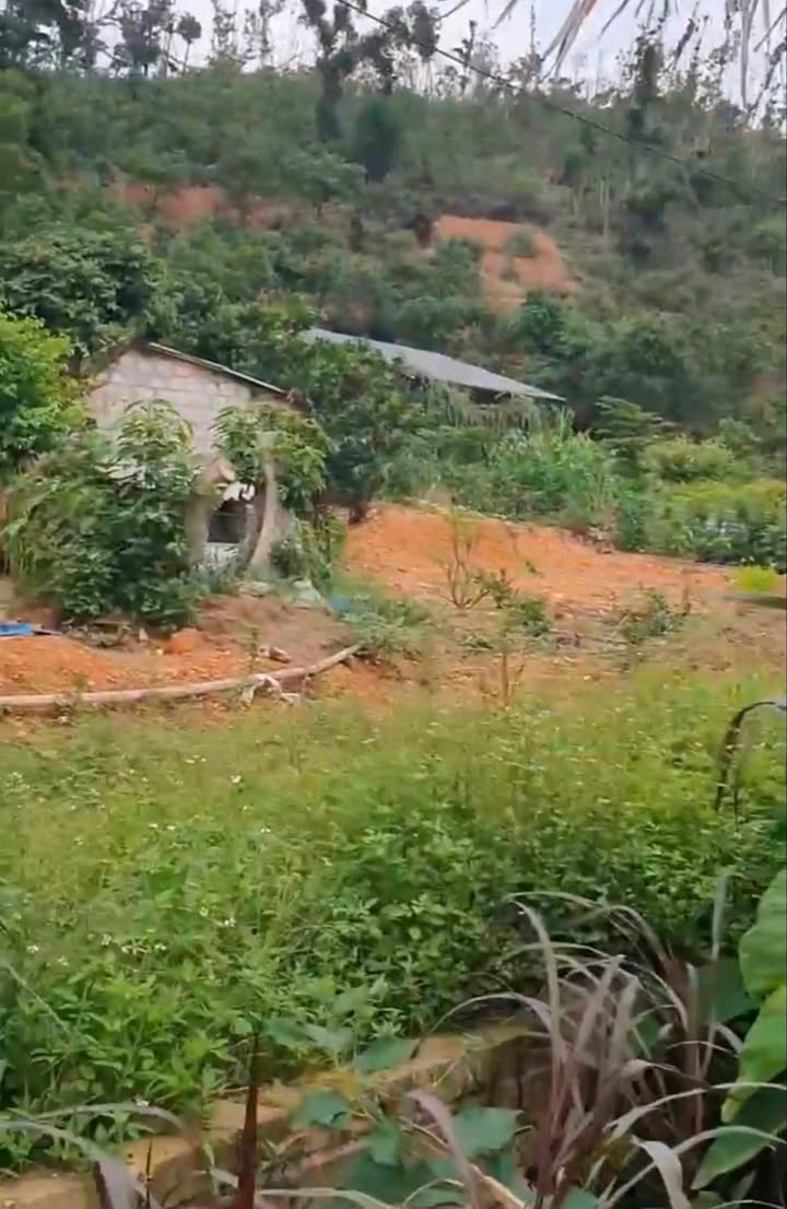 Đất nền 1000m² An Lạc Chí Linh Hải Dương - Đầu tư lý tưởng với giá thỏa thuận!